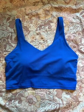 aerie Seamless V-Neck Sports Bra in Blue